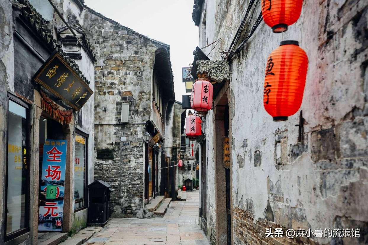 动物帮帮忙保卫家园